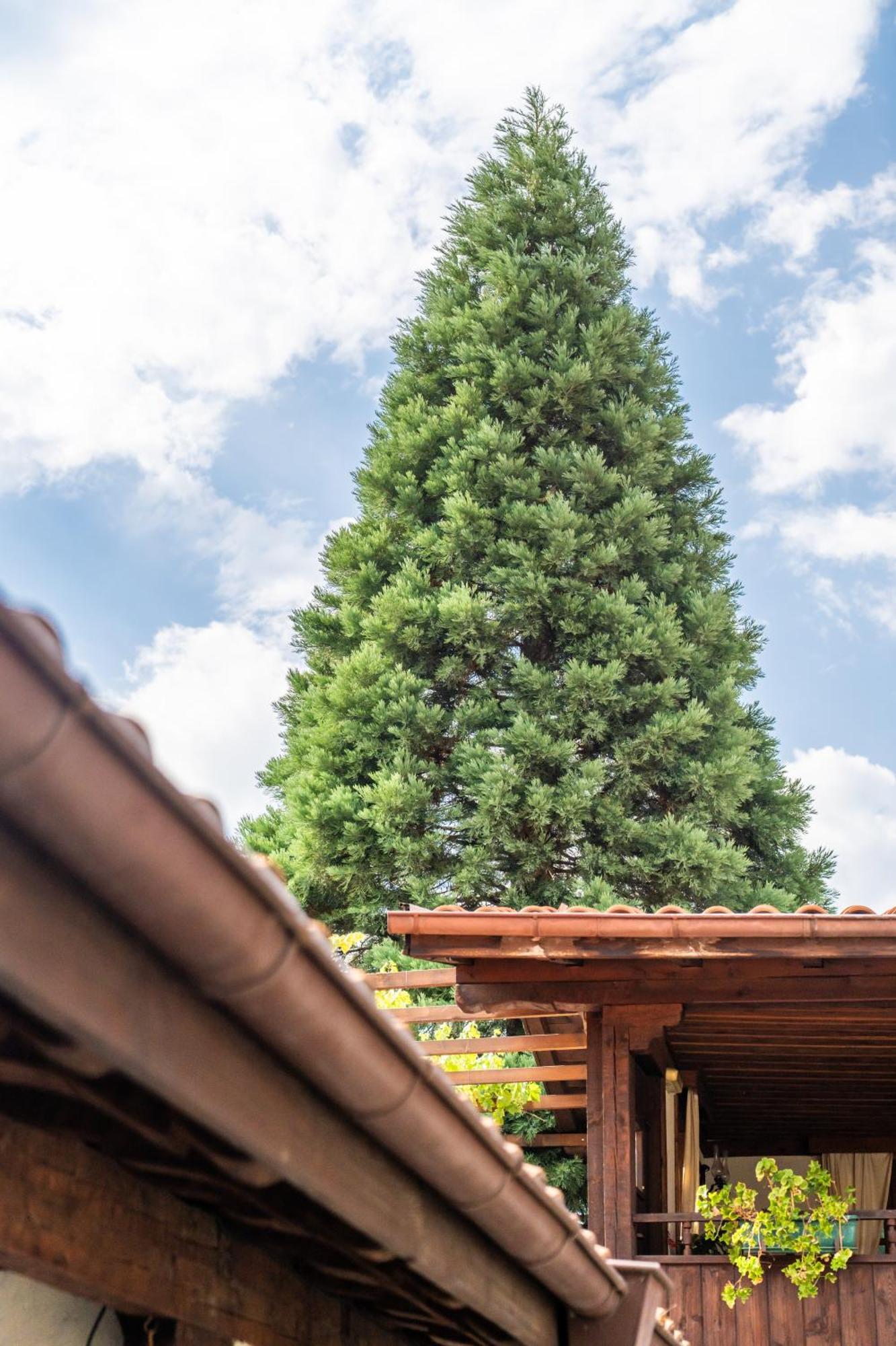 Vila Todorova House Bansko Exteriér fotografie