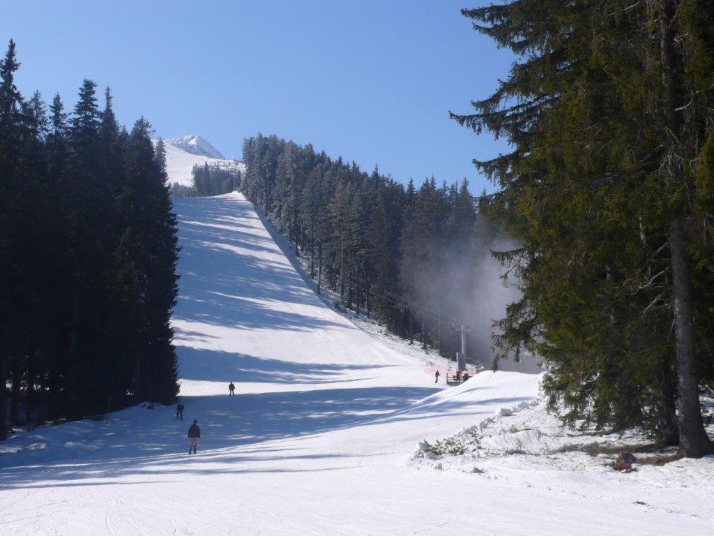 Vila Todorova House Bansko Exteriér fotografie